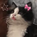 ملصق
