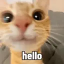 ملصق