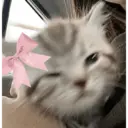 ملصق