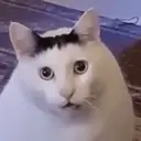 Çıkartma