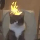Çıkartma
