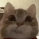 Çıkartma