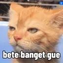สติกเกอร์