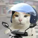 สติกเกอร์