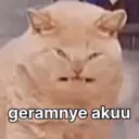 สติกเกอร์