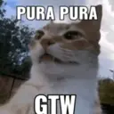 สติกเกอร์