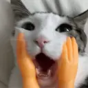 สติกเกอร์