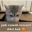 Stiker