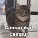 Stiker