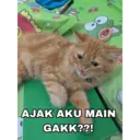 Stiker