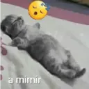 স্টিকার