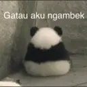 Стикер