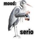 贴纸