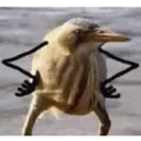 贴纸
