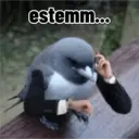 贴纸