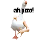 Çıkartma