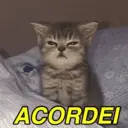 ملصق