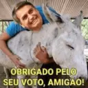 Figurinha