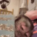 Stika