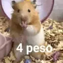 Stika