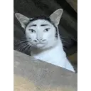 Figurinha
