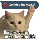 Figurinha