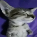 Çıkartma