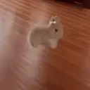 ملصق