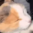 Çıkartma