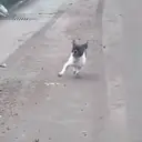 استیکر