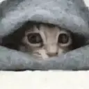 Figurinha