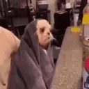 Figurinha