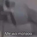 Ngjitës