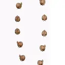 贴纸