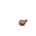 贴纸