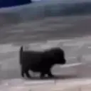 ملصق