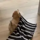 ملصق