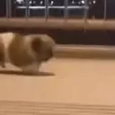 ملصق