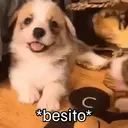 ملصق