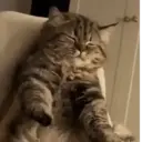 ملصق