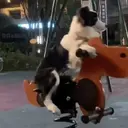 ملصق