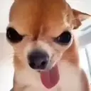 ملصق