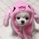 ملصق