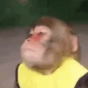 स्टिकर