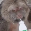स्टिकर