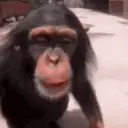 स्टिकर