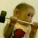 स्टिकर