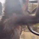 स्टिकर