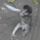 स्टिकर