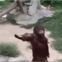 स्टिकर